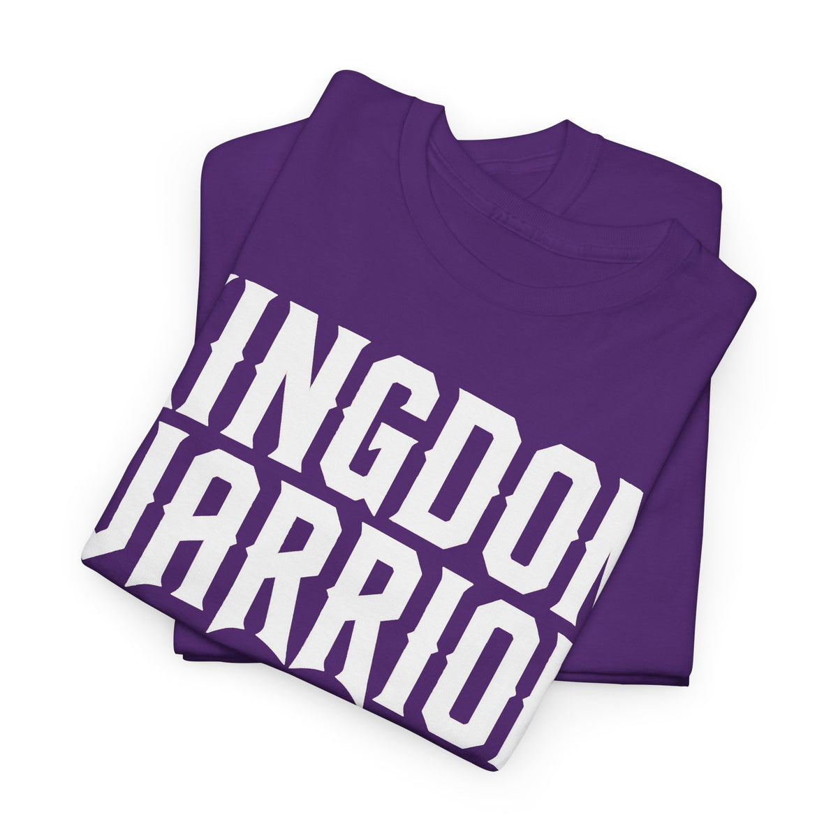 KINGDOM WARRIOR T-SHIRT